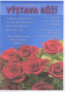 Prodejní výstava růží